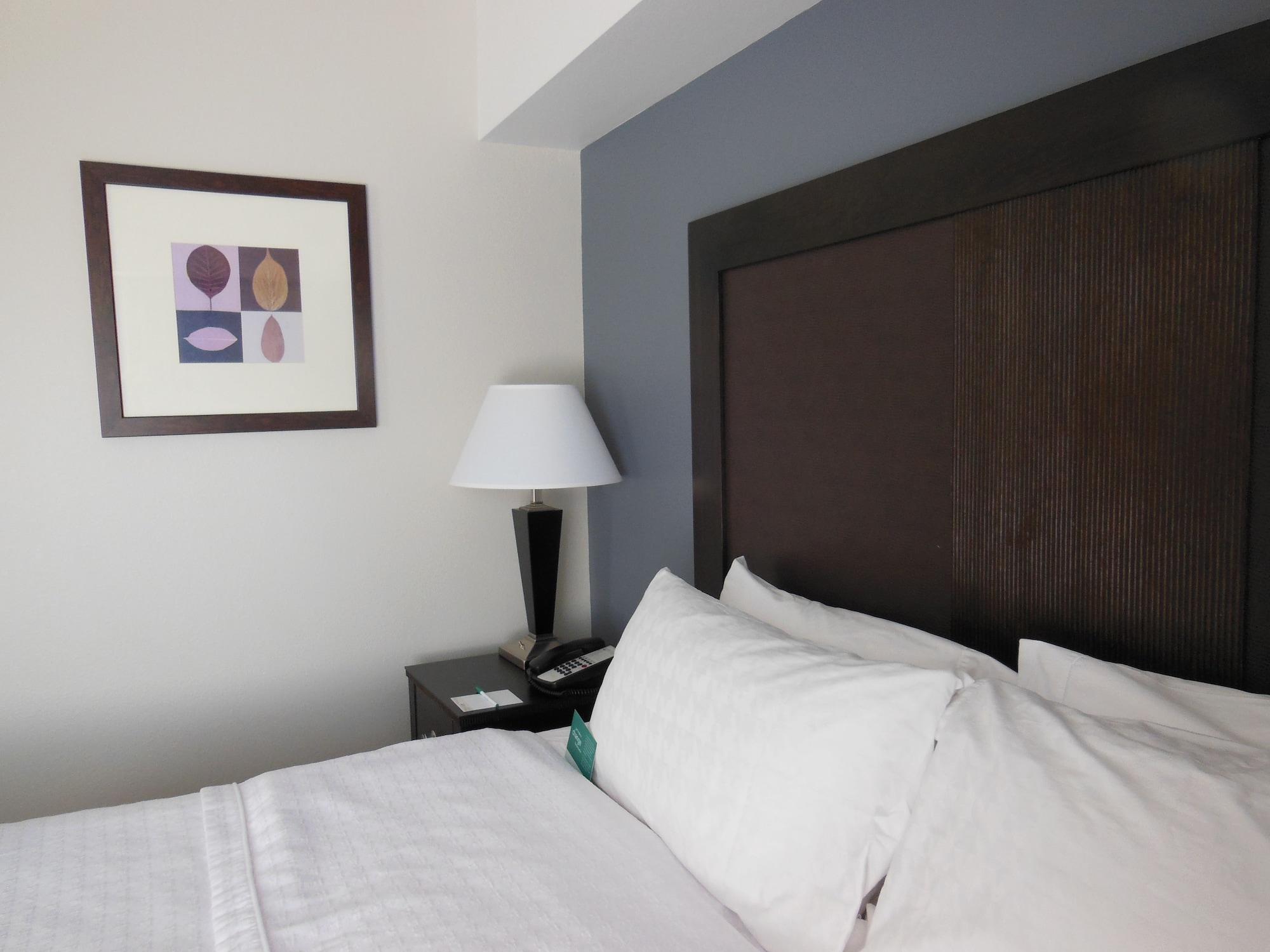 Homewood Suites By Hilton Louisville-East Eksteriør billede